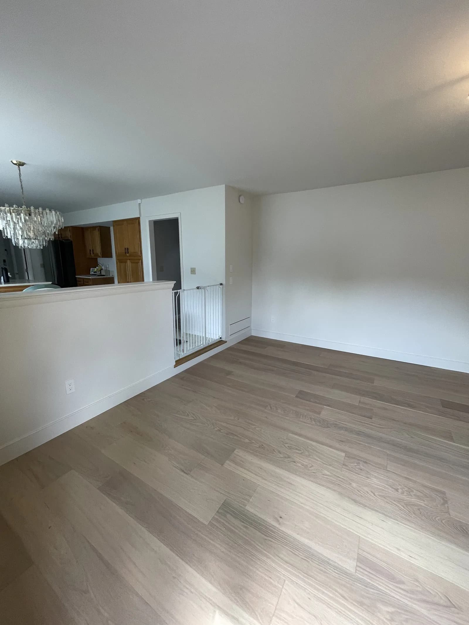Finished living area with light wood-look flooring and freshly painted walls.